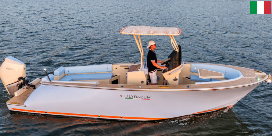 27’ 2026 PICNIC BOAT (Custom Timeslots)